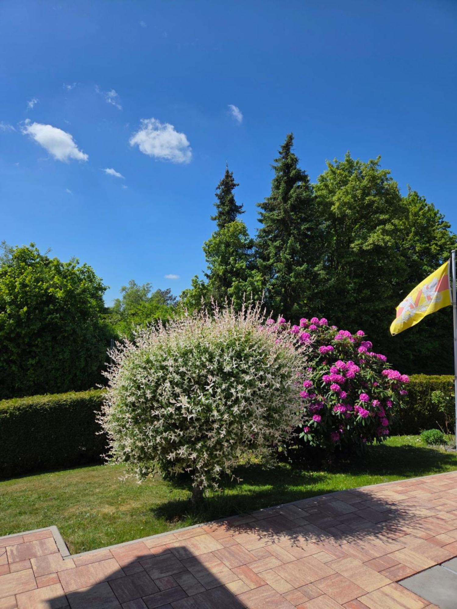 Ferienwohnung Irmgard Und Ferienwohnung Gerlinde 왈드브룬 외부 사진